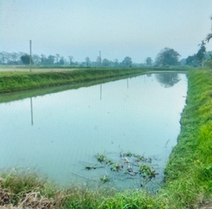 Fresh fisheries and aquaculture produce for urban markets